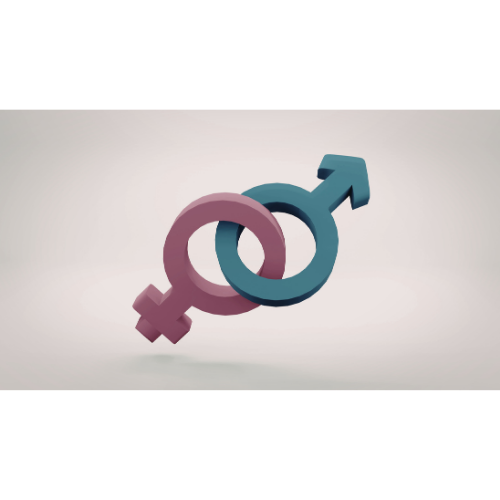 Inducción a la igualdad entre mujeres y hombres