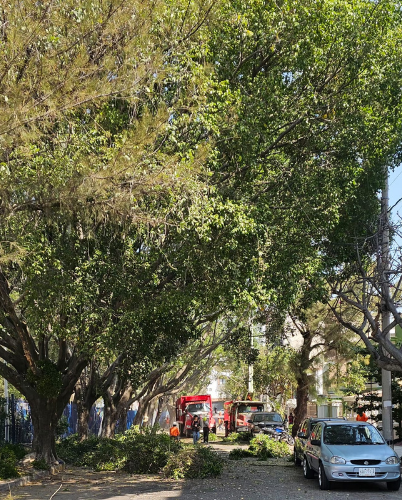 Mantenimiento urbano 4