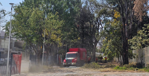 Mantenimiento urbano 2
