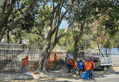 Mantenimiento urbano 3