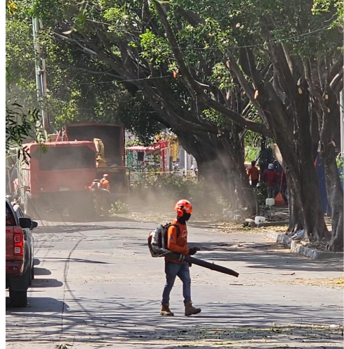 Mantenimiento urbano 6
